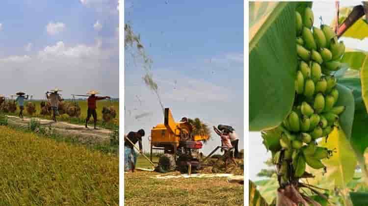 Bangladesh Rural Economic Activity