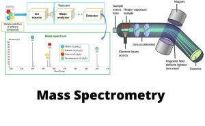 Mass-Spectrometry