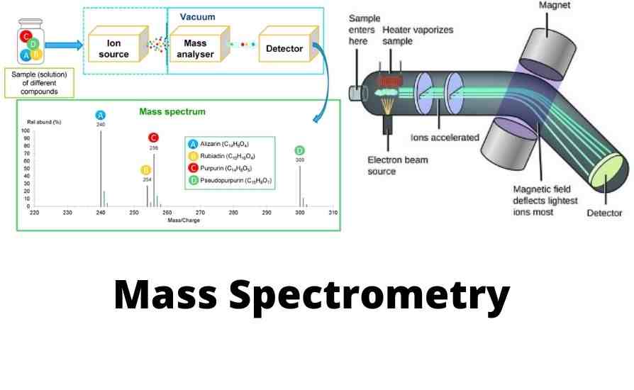 What is Mass Spectrometry Technology? – A Beginner’s Guide